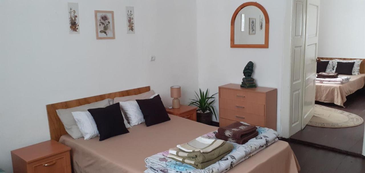 Villa Svalyavа Svaljava Exteriör bild